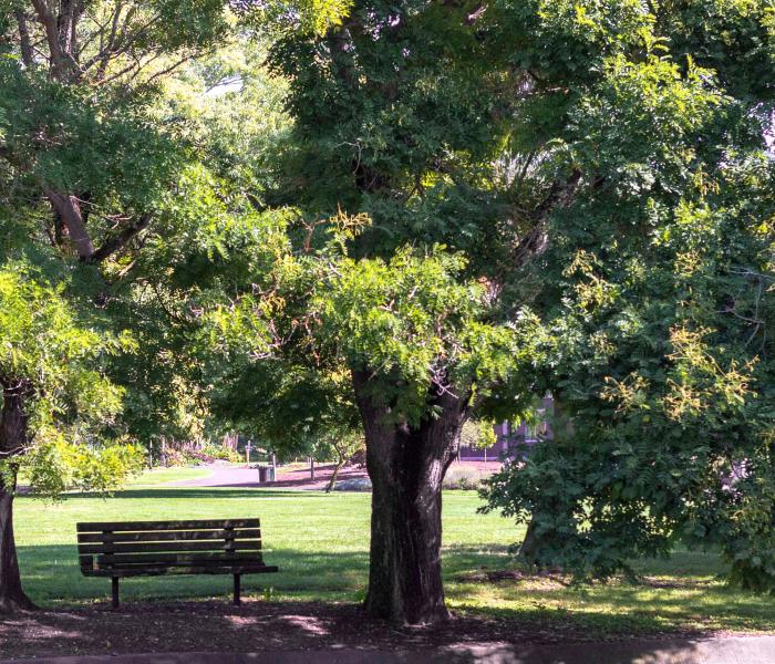 A park on campus