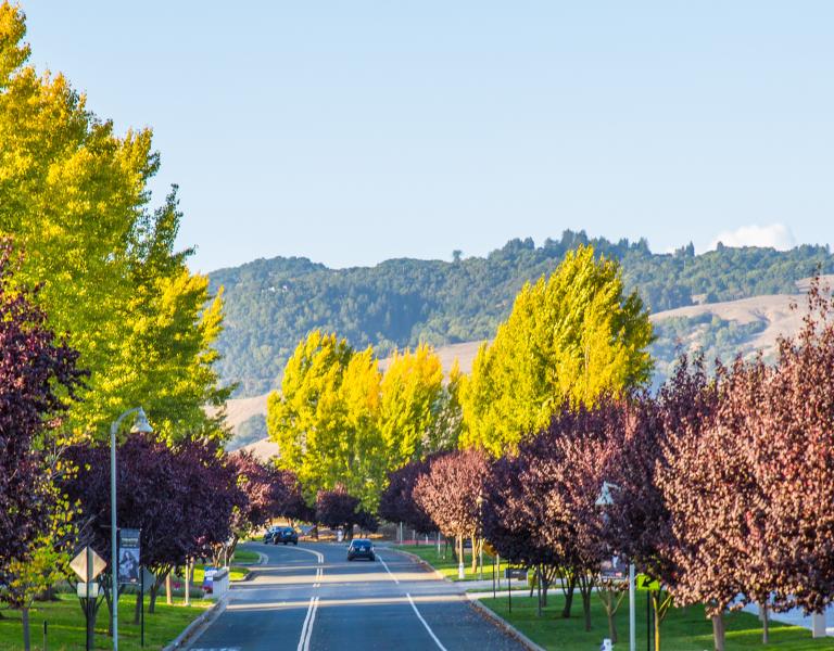 Fall scene on campus