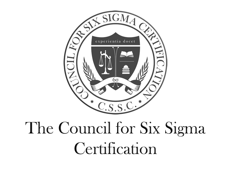 Lean Six Sigma logo