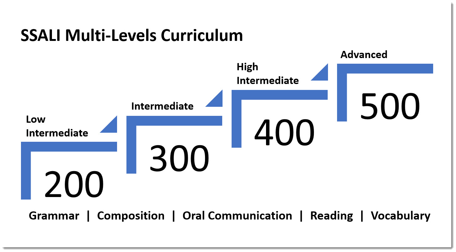 SSALI curriculum