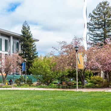 Stevenson Building taken from an angle with cherry blossoms in front