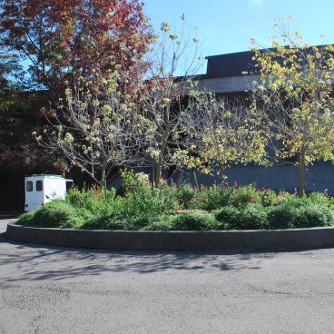 A street circle with plants and shrubs on the SSU campus